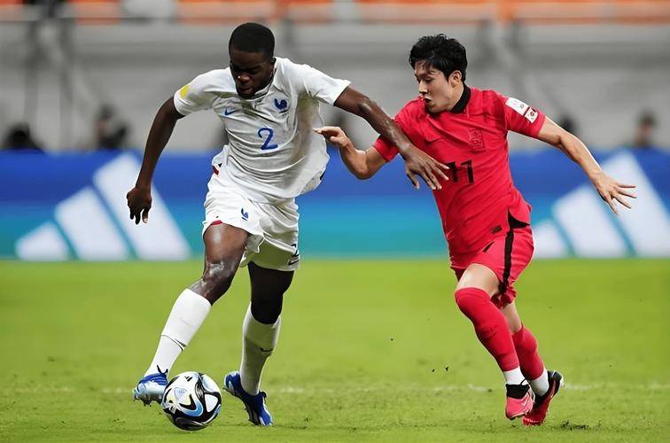 沧州雷鸟战无不胜,豪取亚冠小组头名 沧州雷鸟战无不胜,豪取亚冠小组头名