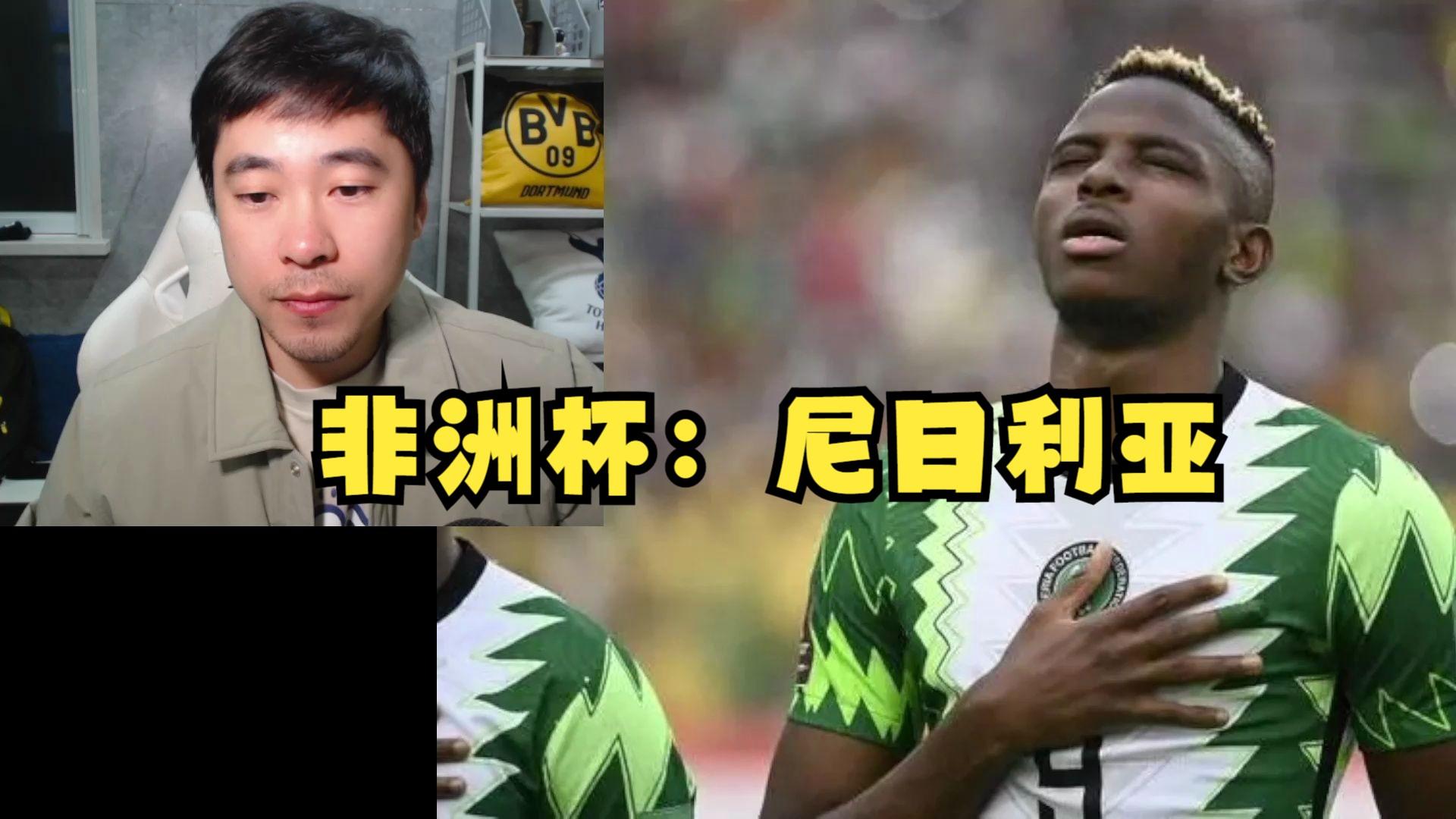 非洲杯揭幕战:尼日利亚胜利开门红 非洲杯揭幕战:尼日利亚胜利开门红