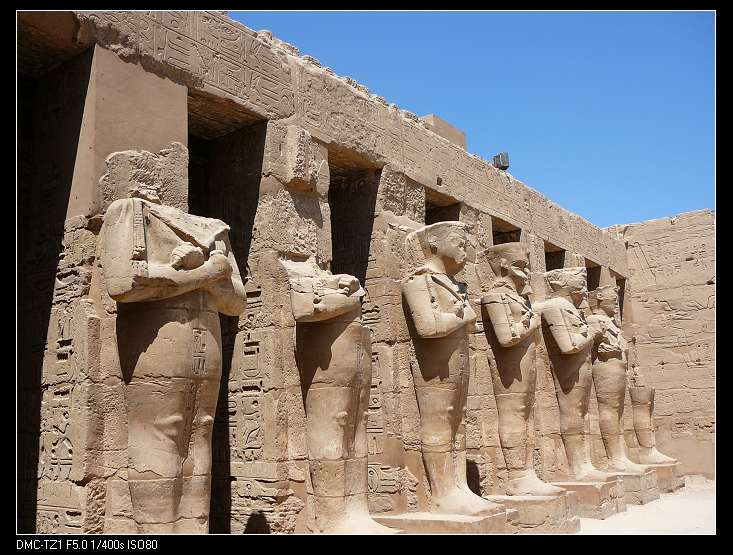 埃及篮球职业联赛春秋四季竞技 埃及篮球职业联赛春秋四季竞技